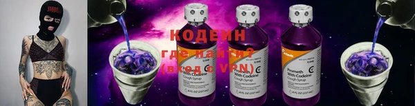 ГАЛЛЮЦИНОГЕННЫЕ ГРИБЫ Арсеньев
