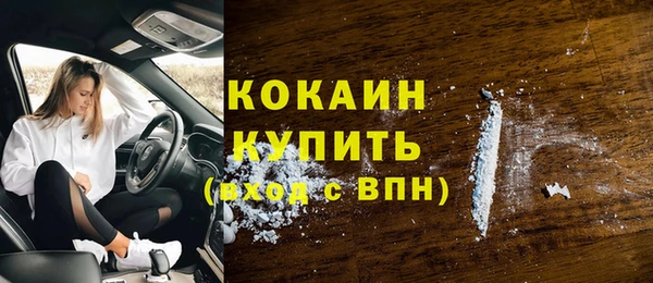 мяу мяу мука Аркадак