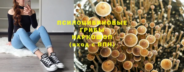 ГАЛЛЮЦИНОГЕННЫЕ ГРИБЫ Арсеньев