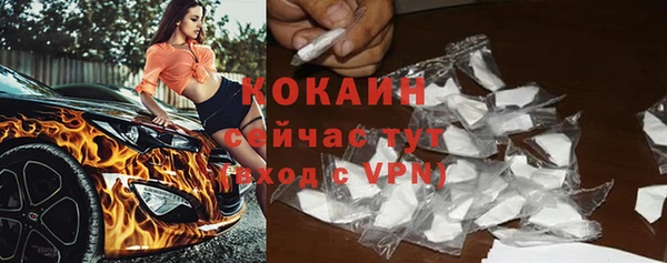 мяу мяу мука Аркадак