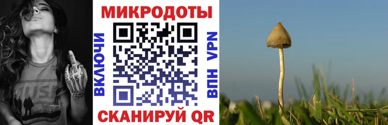 Галлюциногенные грибы мицелий  Горняк 